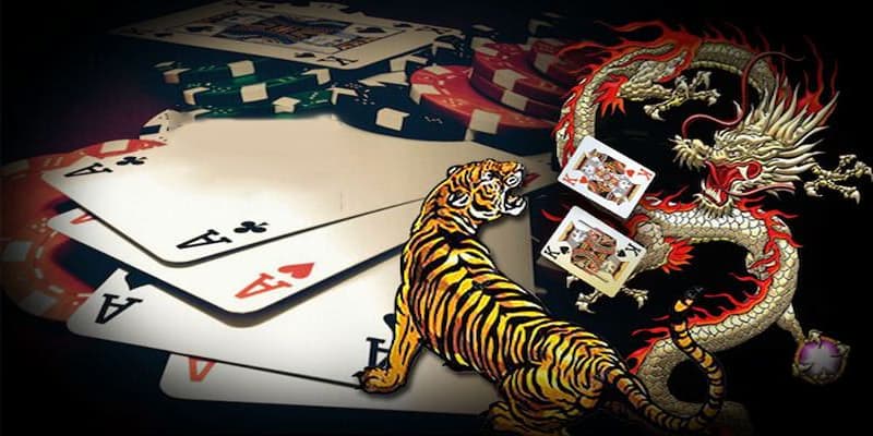 Cách Chơi Rồng Hổ Net88